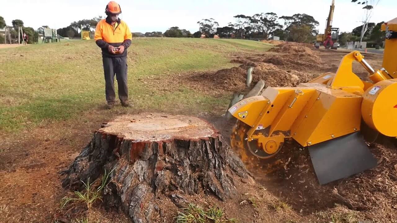 Top Stump Grinding Services: Clearing Stumps with Ease