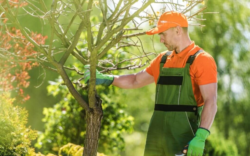 Tree Pruning Pricing