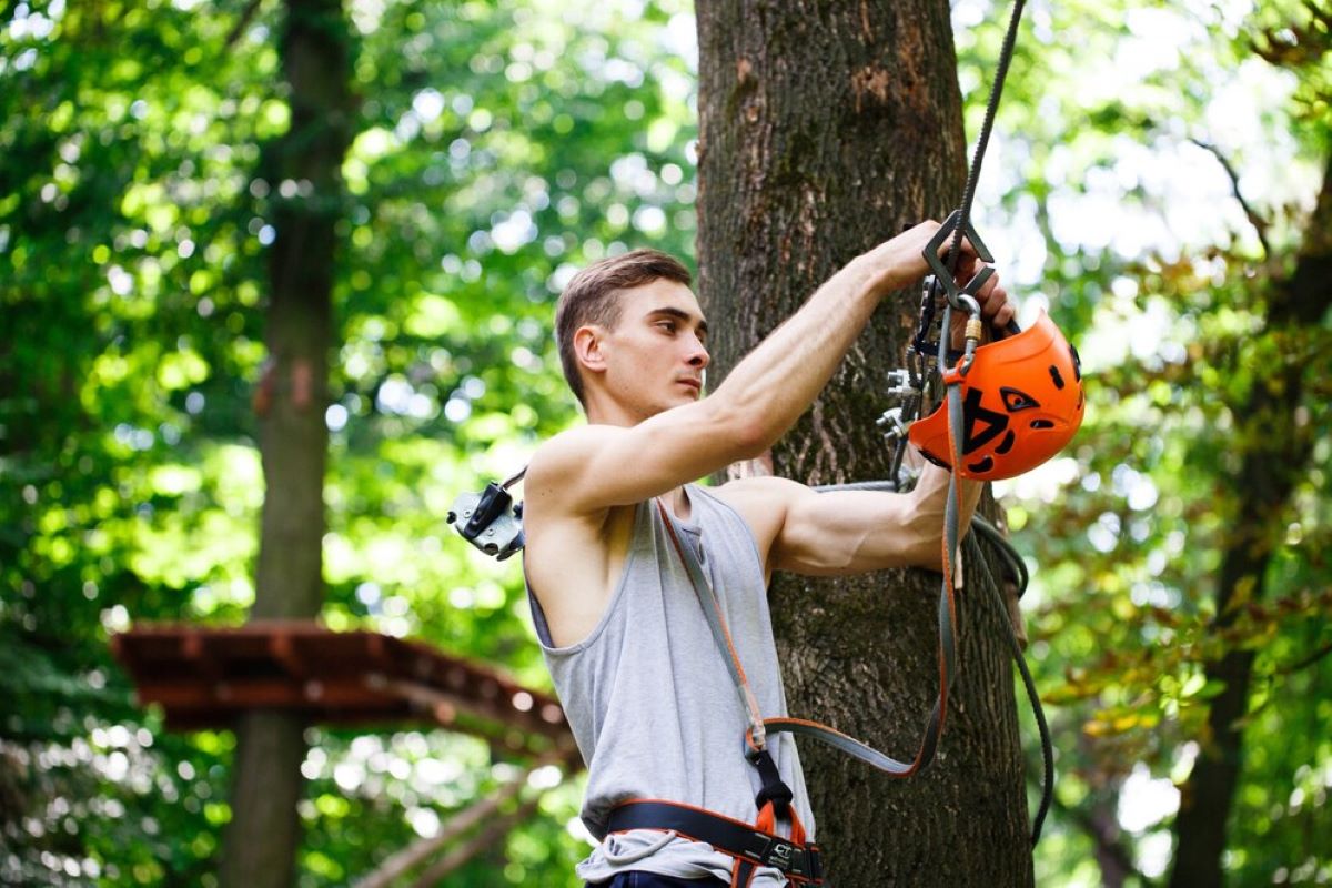 Tree Pruning Pricing